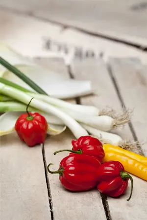 allium fistulosum - afbeelding 2