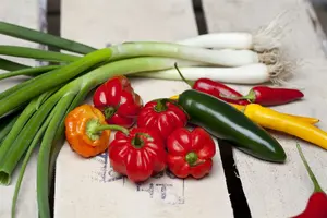 allium fistulosum - afbeelding 3