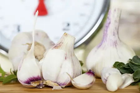 allium sativum var. ophioscorodon - afbeelding 5