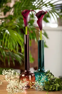 calla - afbeelding 2