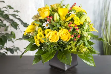 calla - afbeelding 1