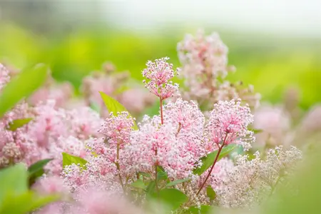 levpot3l - afbeelding 5