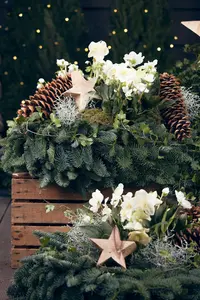 groot - afbeelding 2