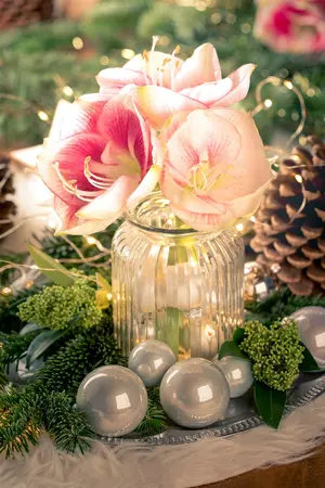 hybr 2 - afbeelding 3