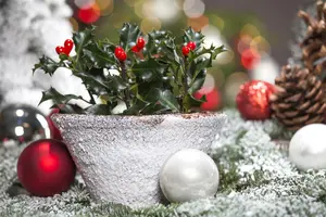 kluit-60/80 - afbeelding 3