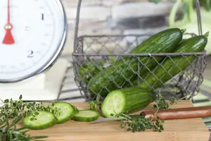 komkommer - afbeelding 3
