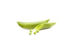 pisum sativum  parsley  - afbeelding 2