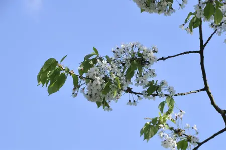 1/2 t - afbeelding 1