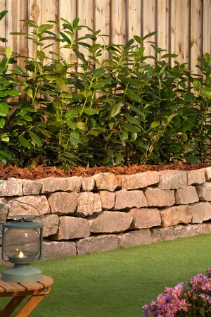 70-90 cm. C6.5 - afbeelding 4